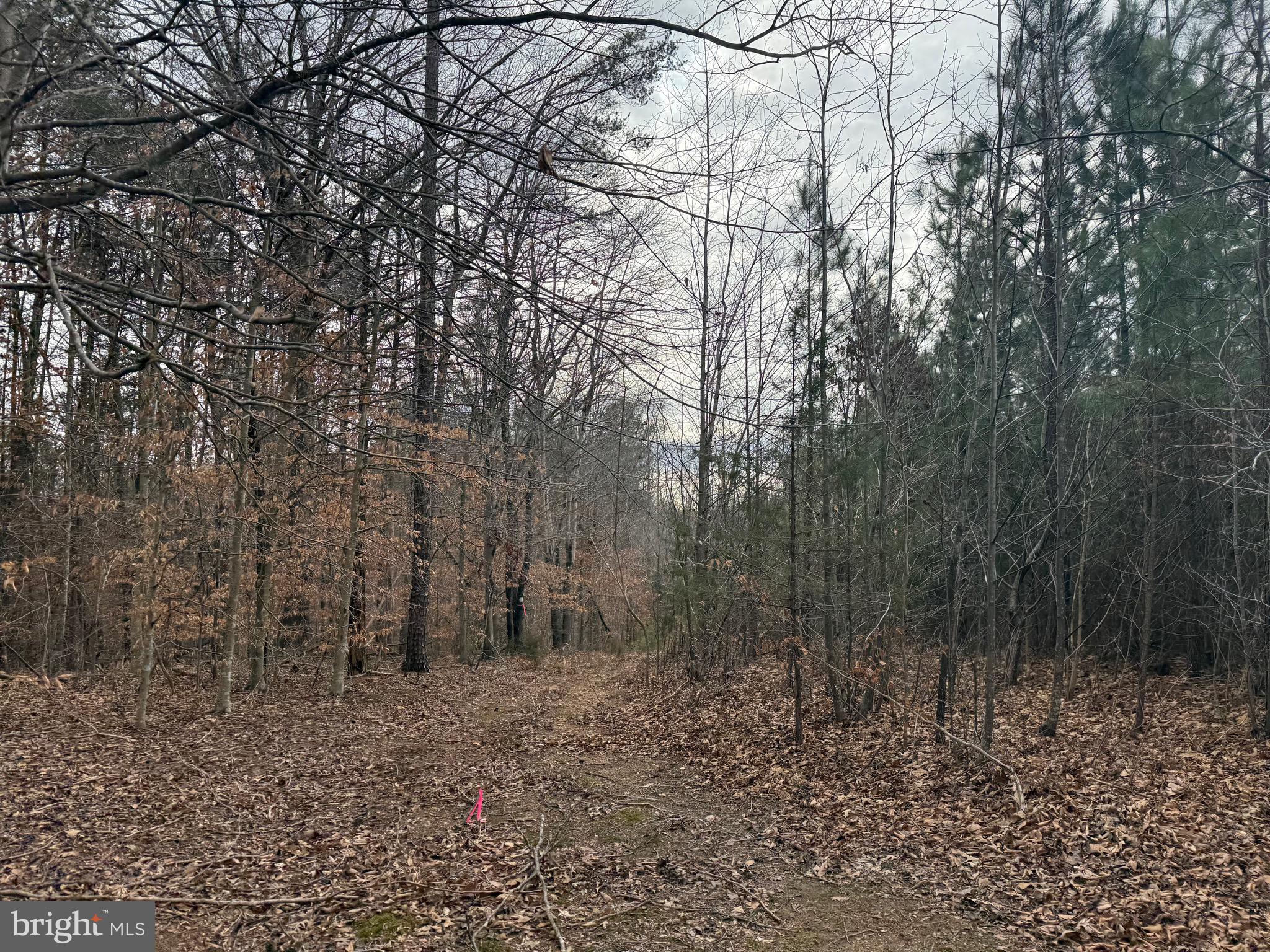 Lot C1 Hardware Road Arvonia, VA 23004 - Photo 16 of 27