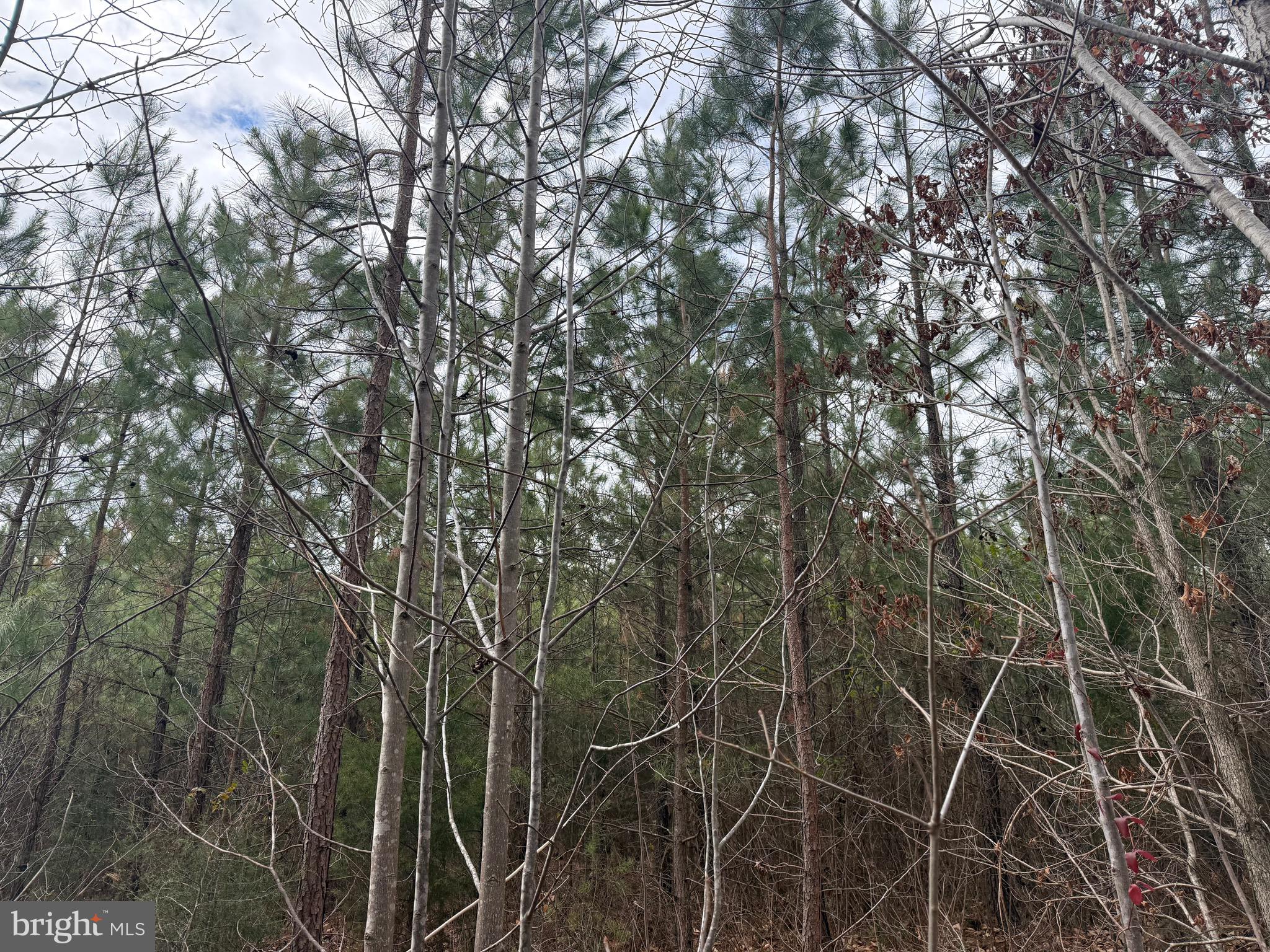 Lot C1 Hardware Road Arvonia, VA 23004 - Photo 17 of 27