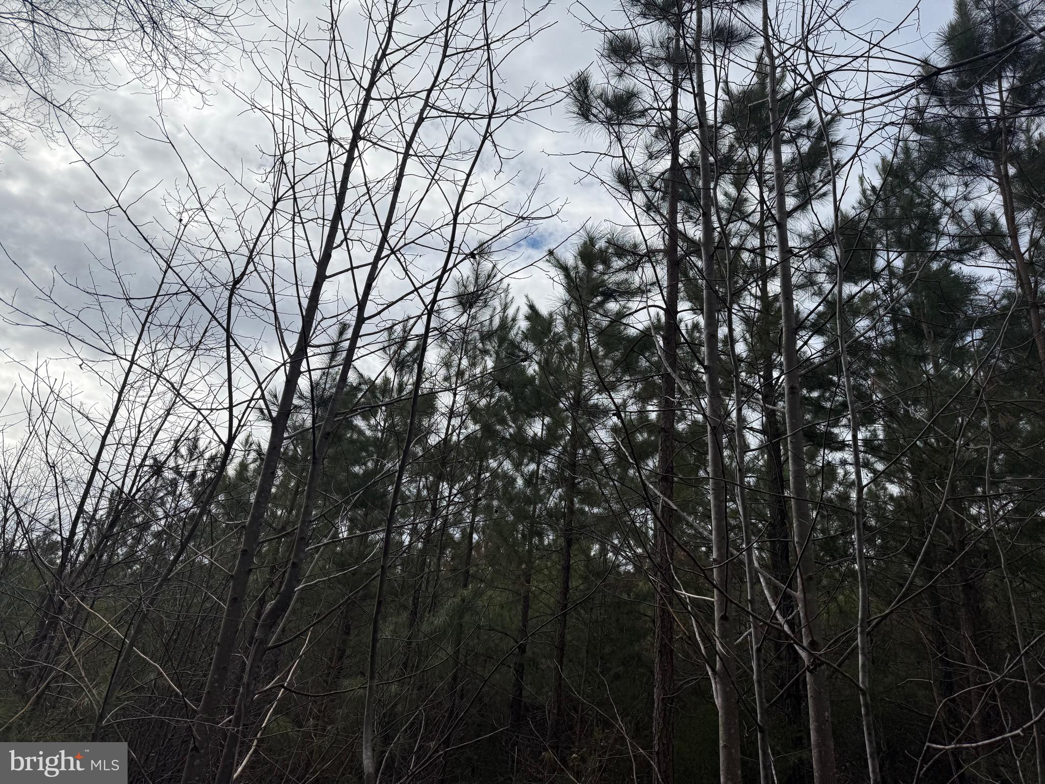 Lot C1 Hardware Road Arvonia, VA 23004 - Photo 19 of 27