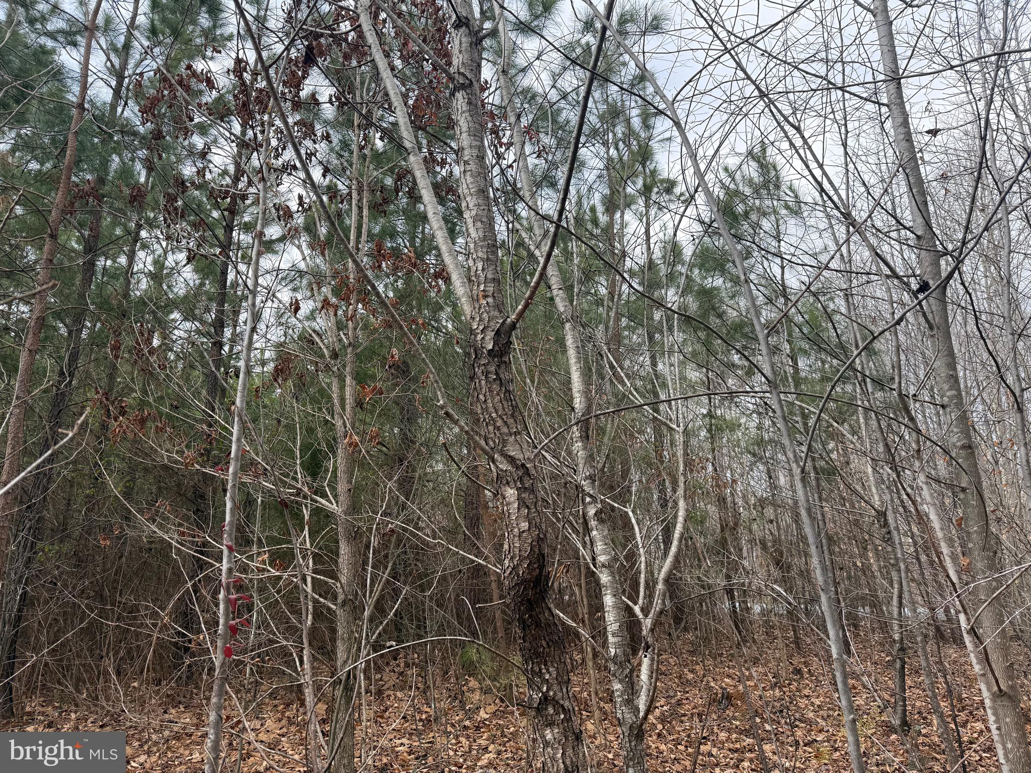 Lot C1 Hardware Road Arvonia, VA 23004 - Photo 20 of 27