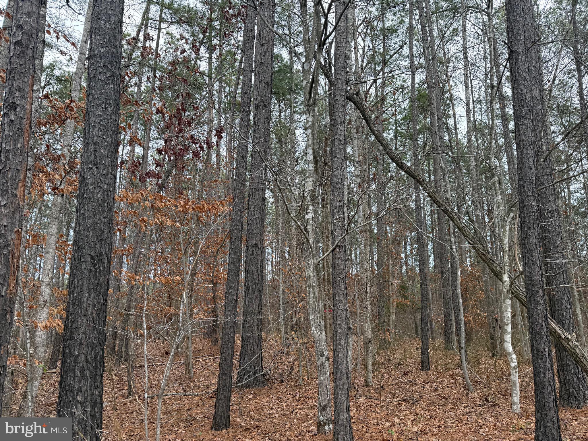 Lot C1 Hardware Road Arvonia, VA 23004 - Photo 22 of 27