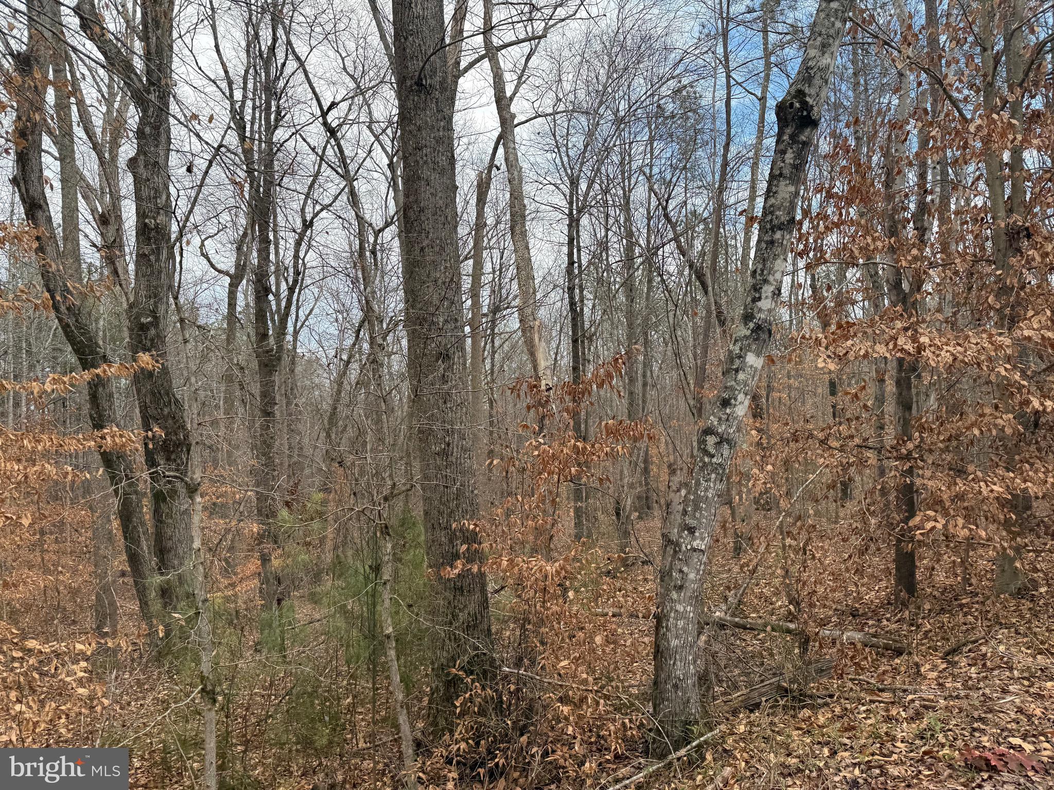 Lot C1 Hardware Road Arvonia, VA 23004 - Photo 23 of 27