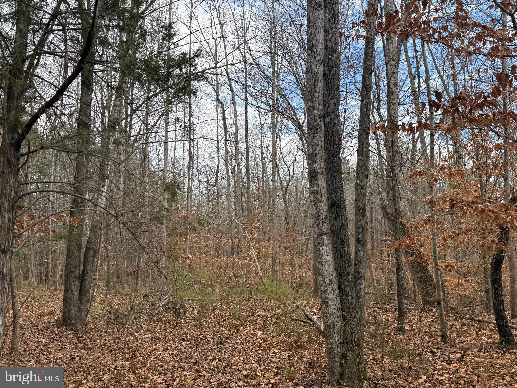 Lot C1 Hardware Road Arvonia, VA 23004 - Photo 24 of 27