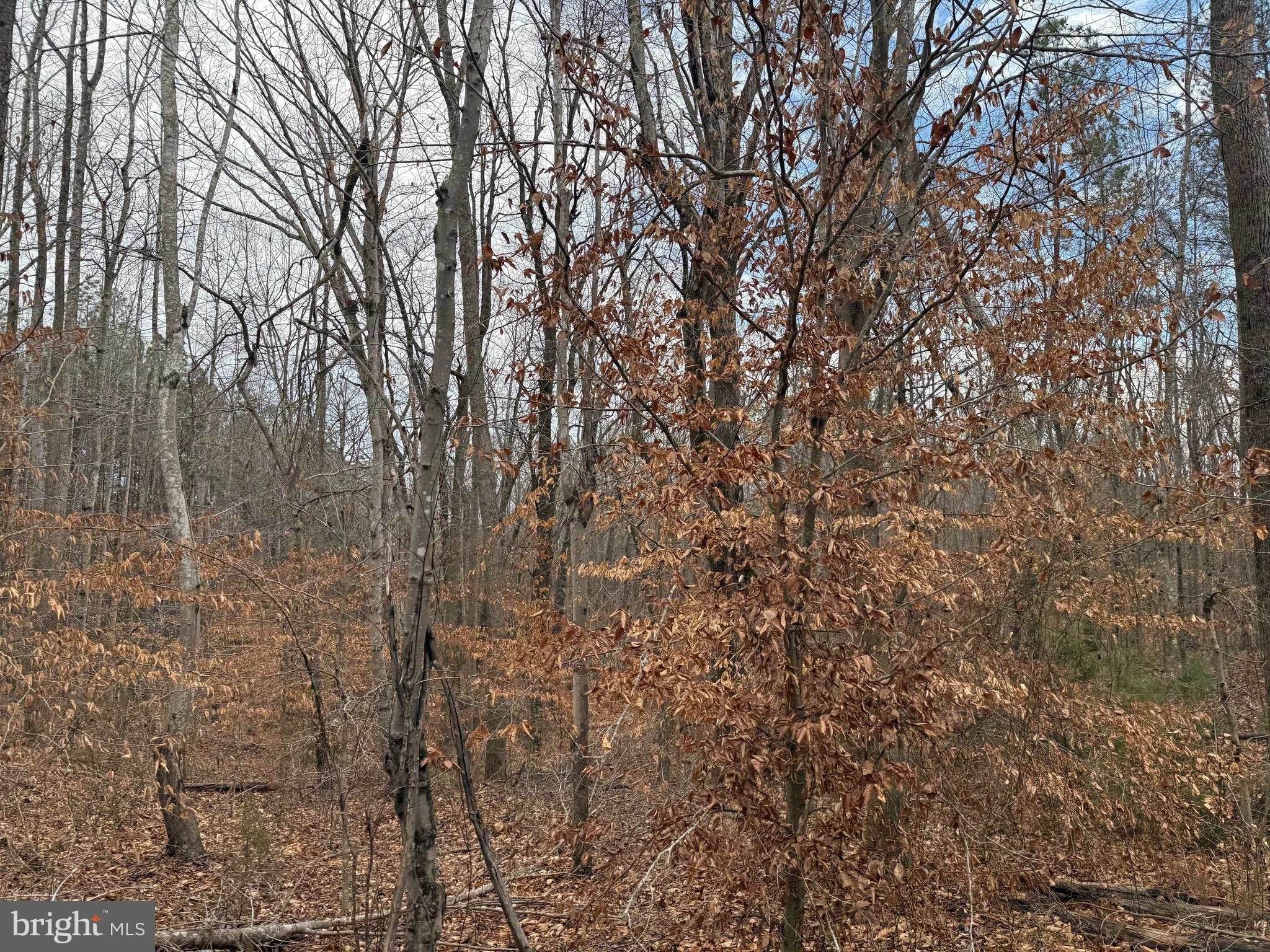 Lot C1 Hardware Road Arvonia, VA 23004 - Photo 25 of 27