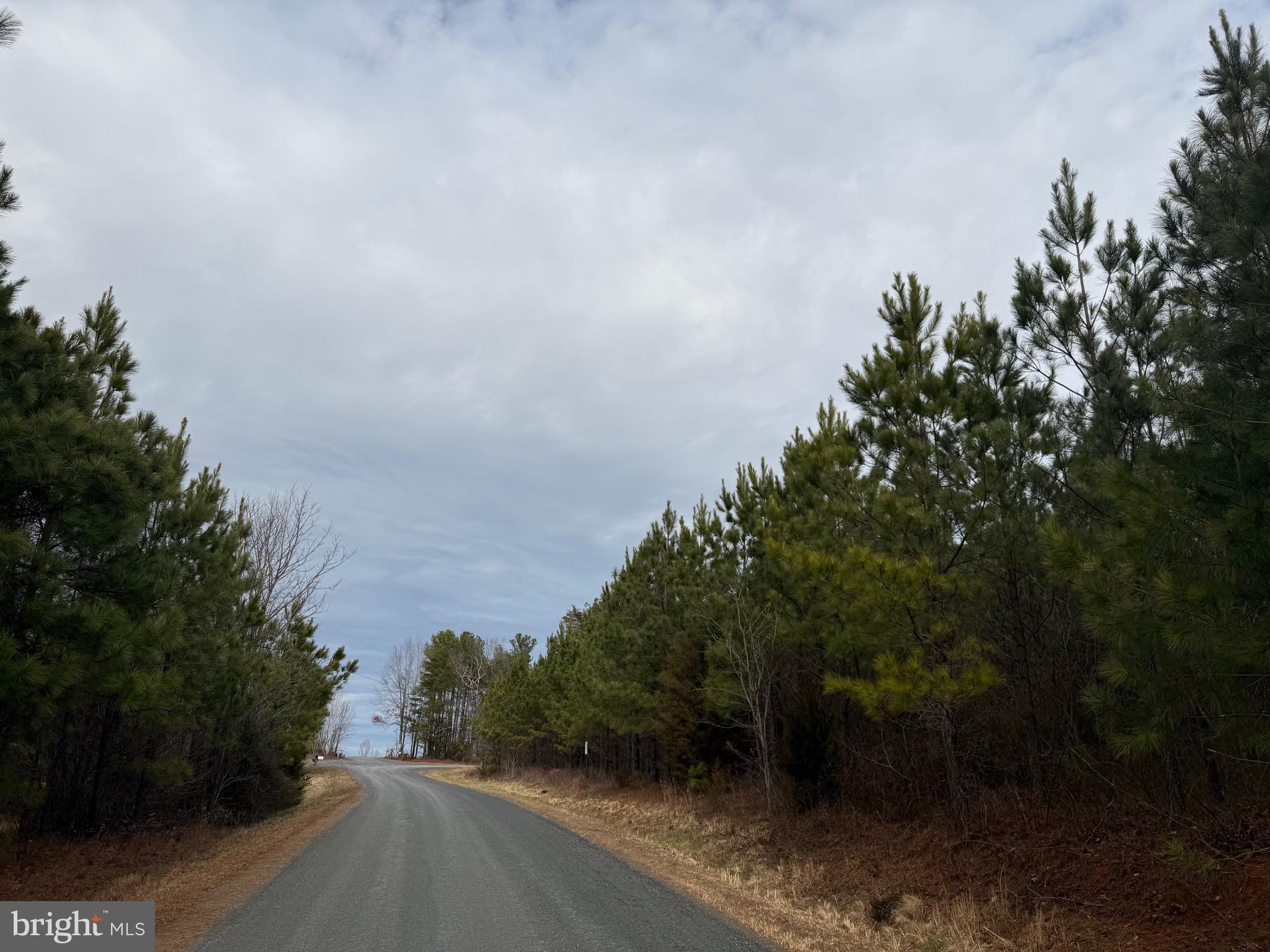 Lot C1 Hardware Road Arvonia, VA 23004 - Photo 7 of 27