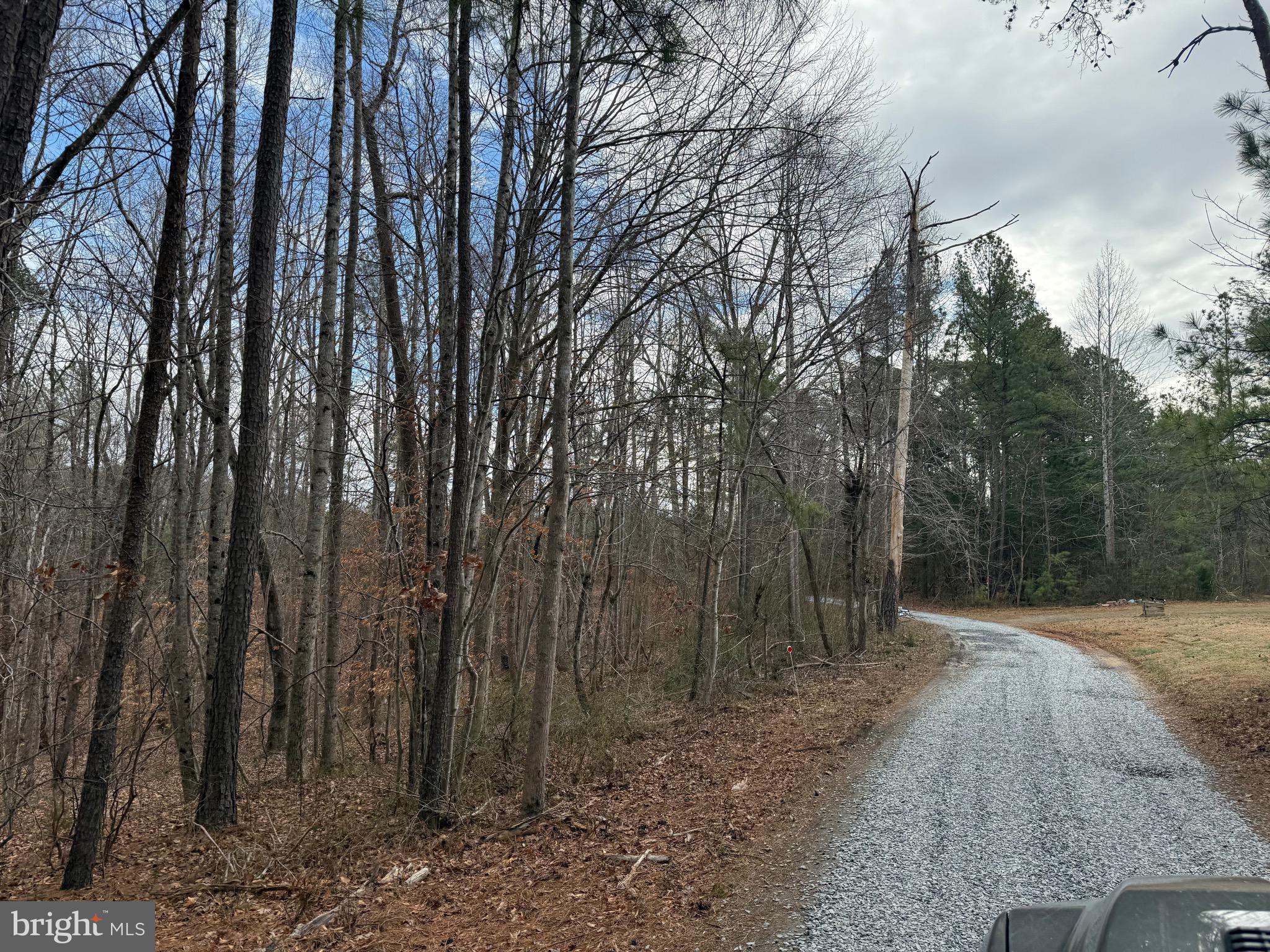 Lot C1 Hardware Road Arvonia, VA 23004 - Photo 10 of 27