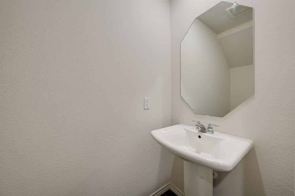 317 Sage Street Anna, TX 75409 - Photo 19 of 33 a bathroom with a sink a mirror and vanity