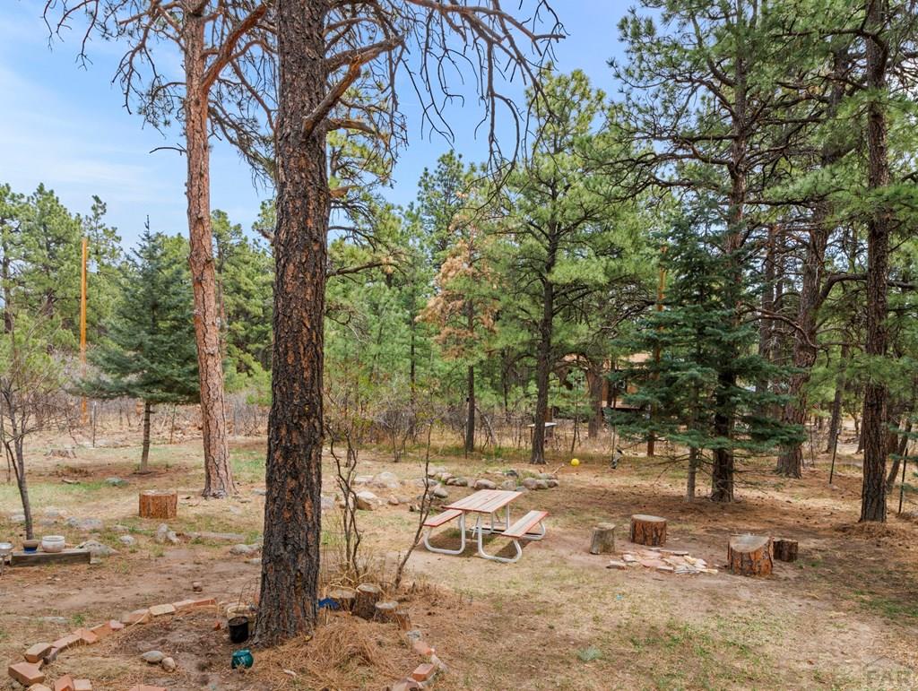 8145 Birch Drive Rye, CO 81069 - Photo 9 of 44