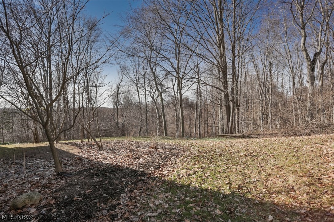 10638 Butternut Road Chesterland, OH 44026 - Photo 32 of 33