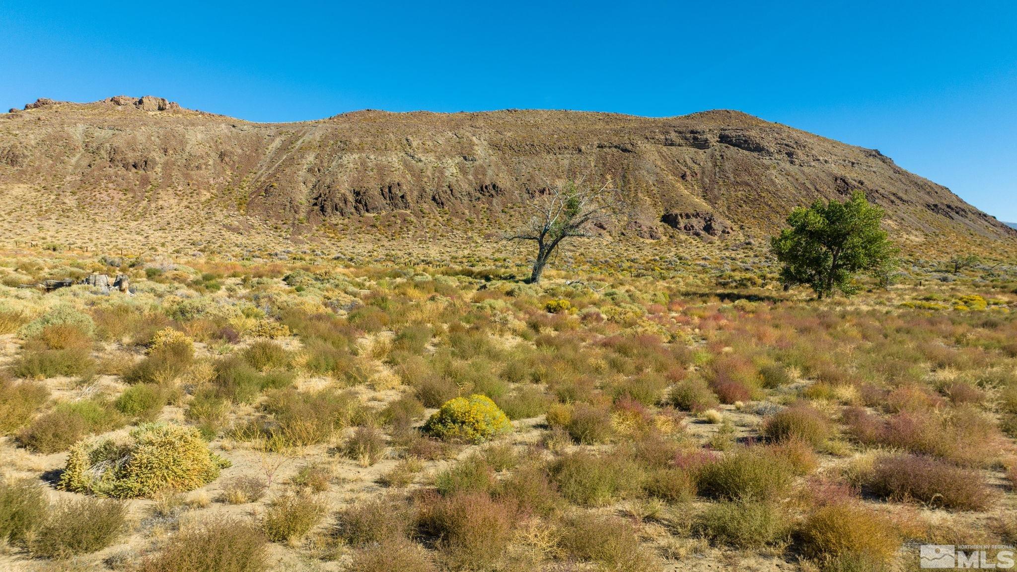 385 Stampmill Drive Wadsworth, NV 89442 - Photo 7 of 7 Photo 7