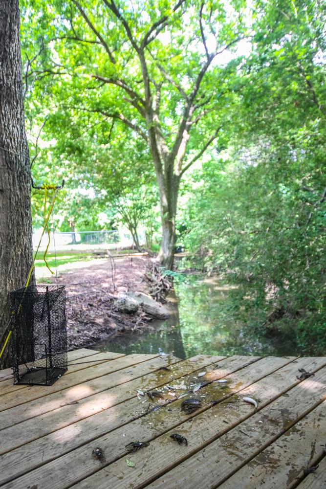 496 Horn Springs Road Lebanon, TN 37087 - Photo 29 of 30 a view of a yard with street