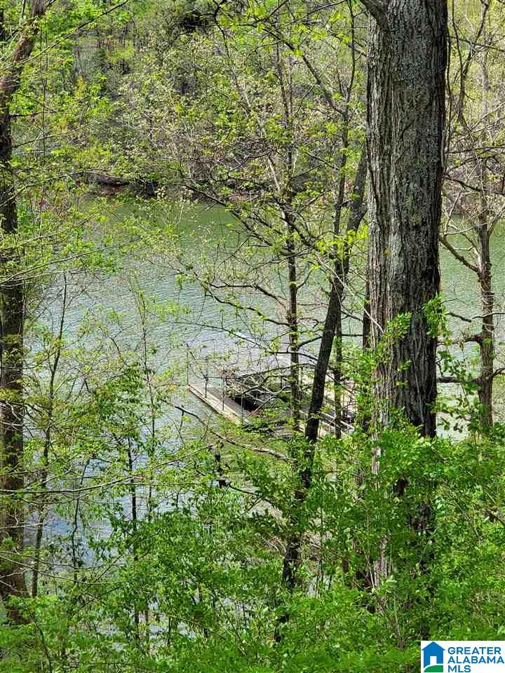 100 County Road 133 Bremen, AL 35033 - Photo 38 of 42