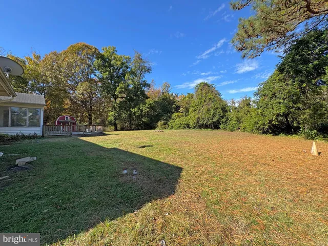 a view of a back yard