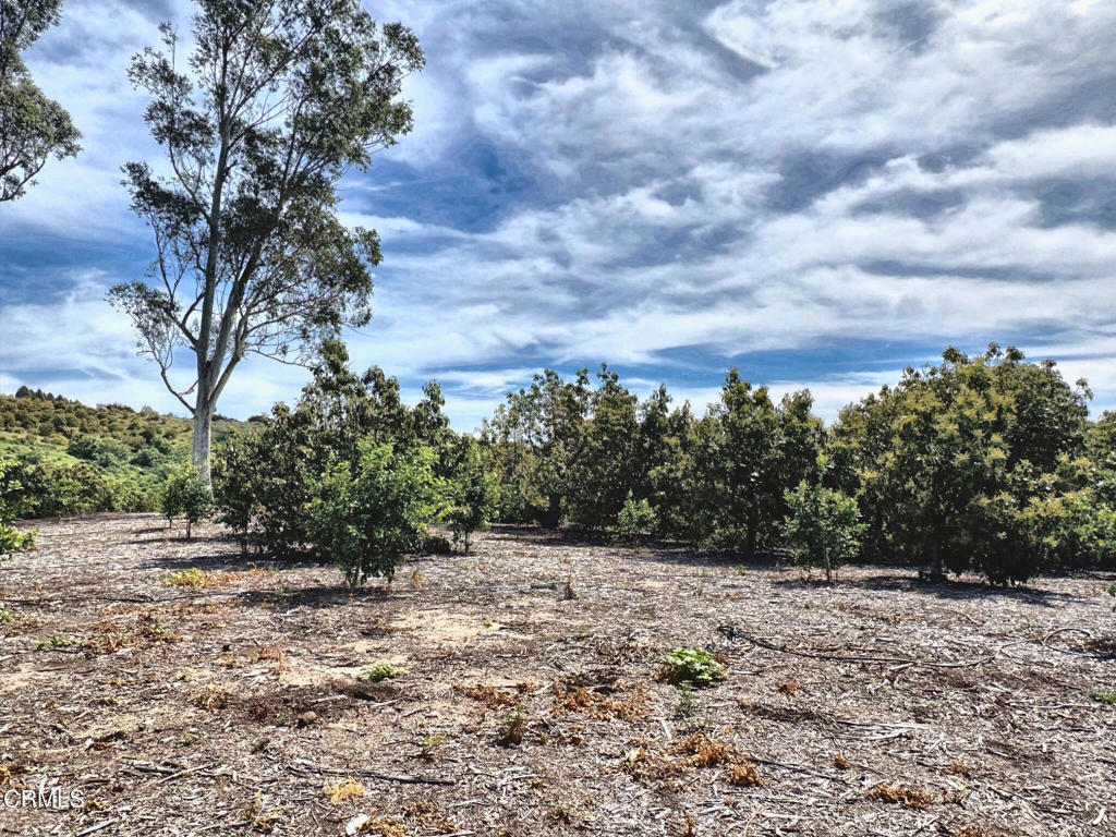 0 Grimes Canyon Road Moorpark, CA 93021 - Photo 3 of 11 IMG_9462_enhanced_lighter