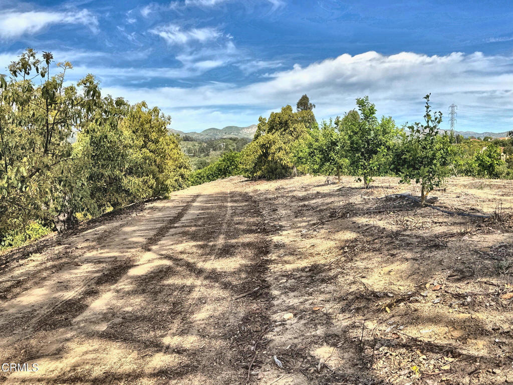 0 Grimes Canyon Road Moorpark, CA 93021 - Photo 5 of 11 IMG_9464_enhanced_lighter
