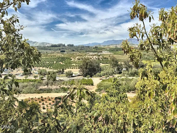 a view of a backyard of the house