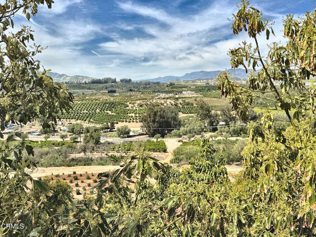 0 Grimes Canyon Road Moorpark, CA 93021 - Photo 6 of 11 IMG_9465_enhanced_lighter