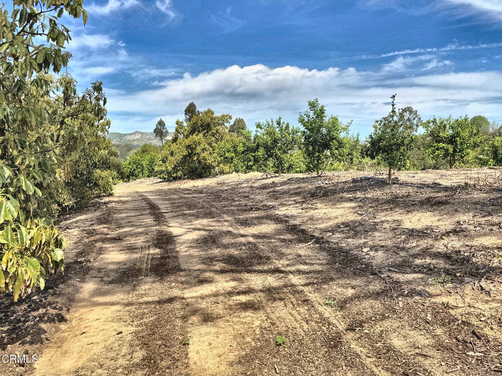 0 Grimes Canyon Road Moorpark, CA 93021 - Photo 7 of 11 IMG_9466_enhanced_lighter