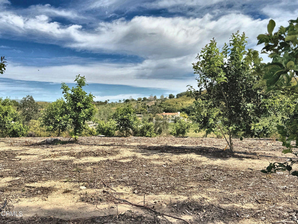 0 Grimes Canyon Road Moorpark, CA 93021 - Photo 9 of 11 IMG_9467_enhanced_lighter