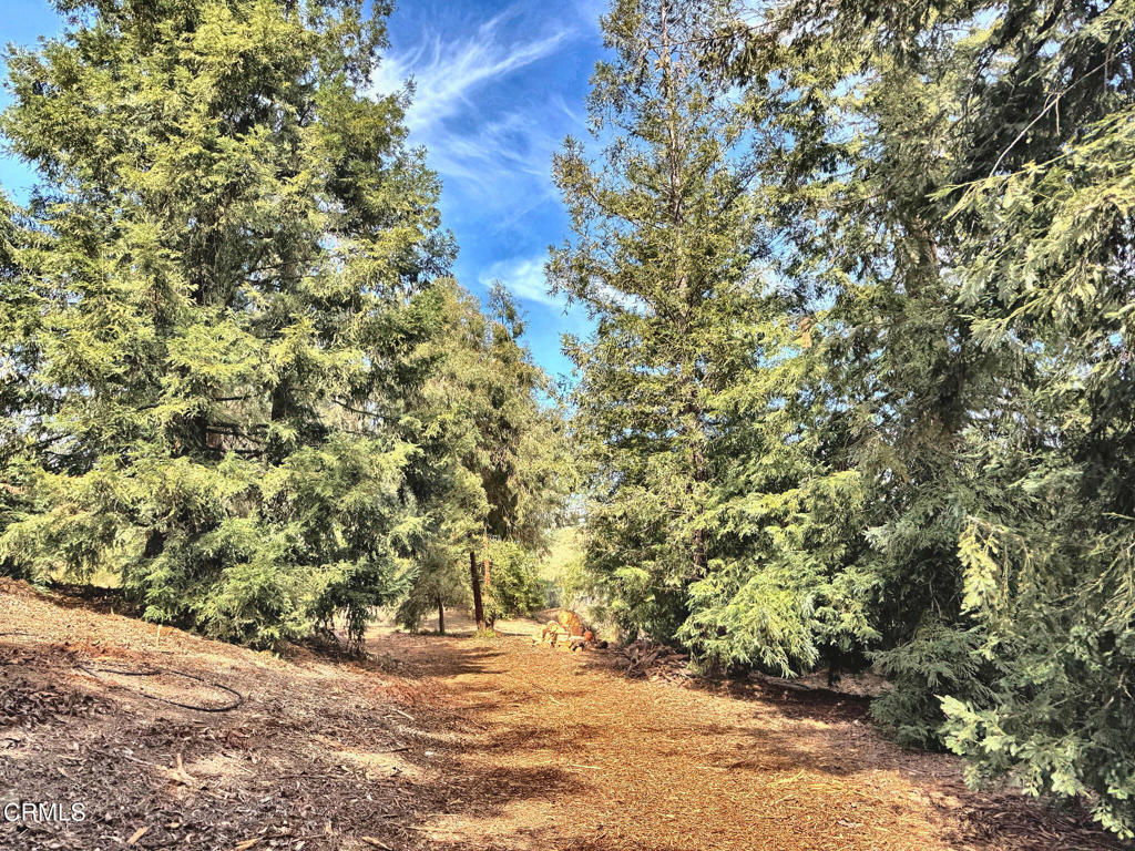 0 Grimes Canyon Road Moorpark, CA 93021 - Photo 10 of 11 IMG_9461_enhanced_lighter