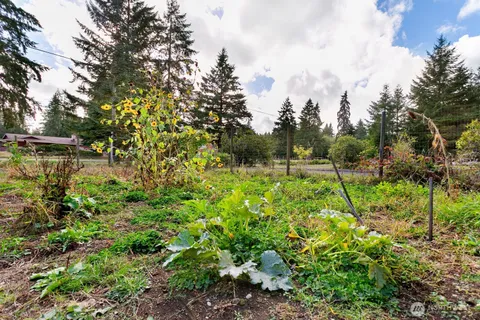 a view of a back yard