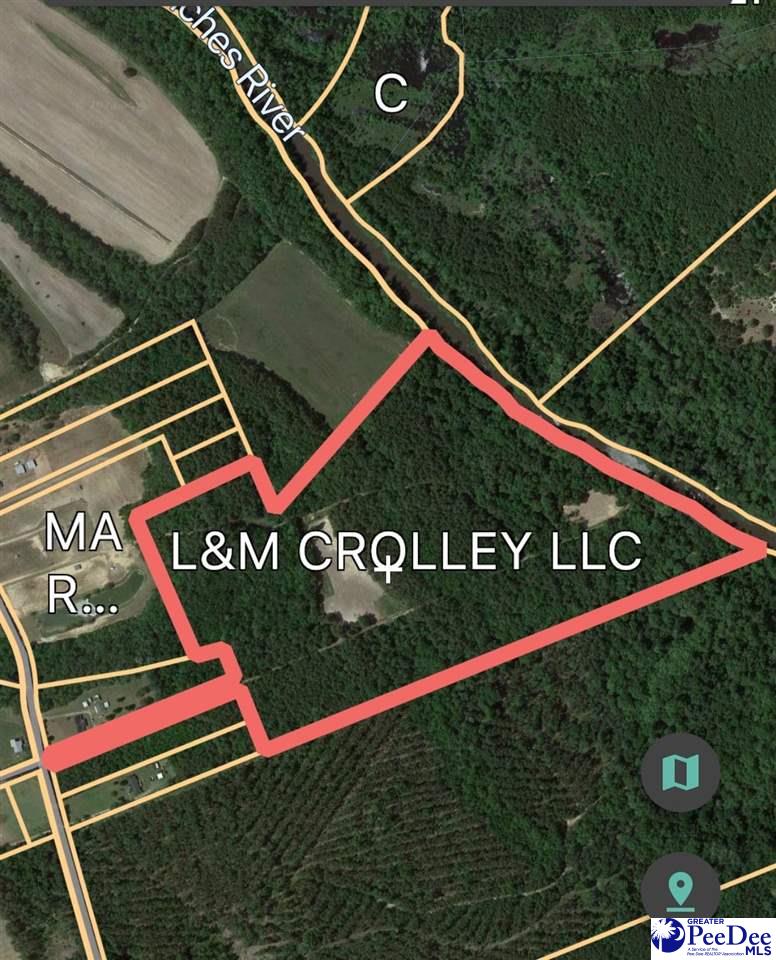 Tbd Tbd Albany Road Effingham, SC 29541 - Photo 1 of 1 Gallery Image 1