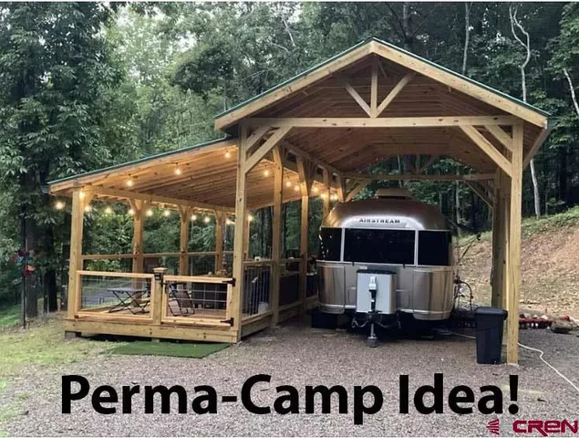 a view of a yard with plants and trees