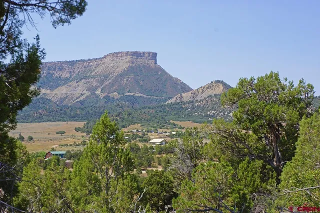 a view of a dry yard with mountains in the background