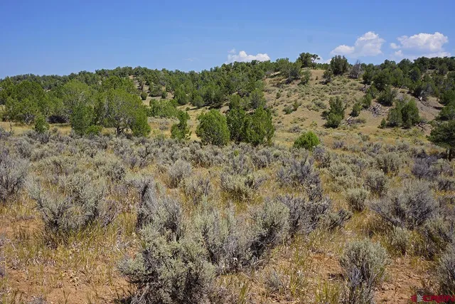 $189,000 | 6 Mancos Co 81328, Mancos, CO 81328