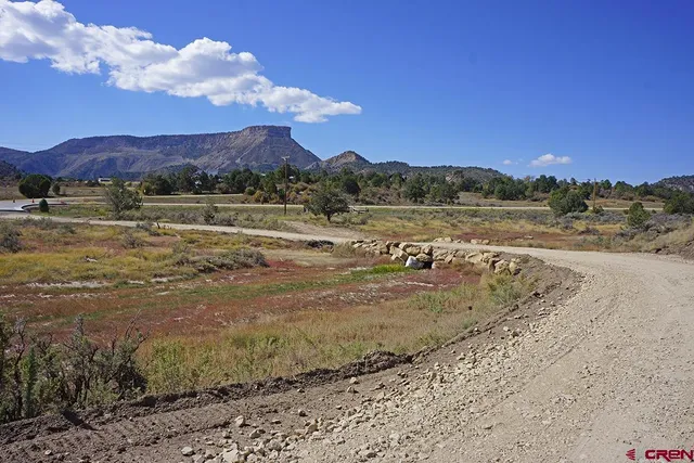 a view of a yard with an ocean view