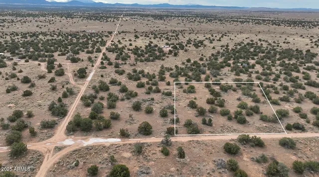 a view of a dry yard