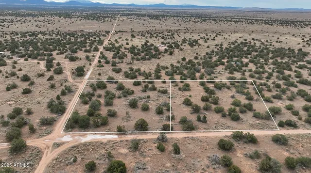 a view of a dry yard