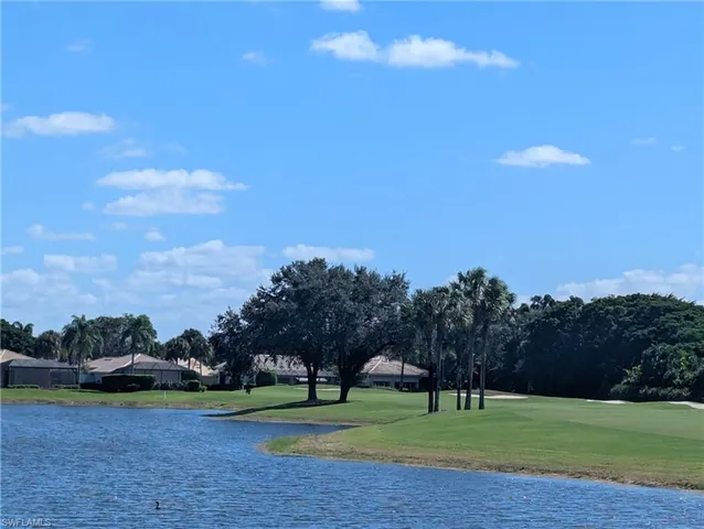 a view of a park with large trees