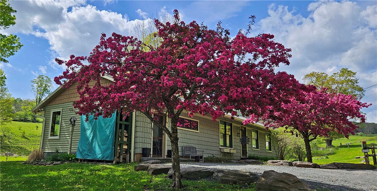 432 Cartwright Road Denver, NY 12421 - Photo 3 of 39