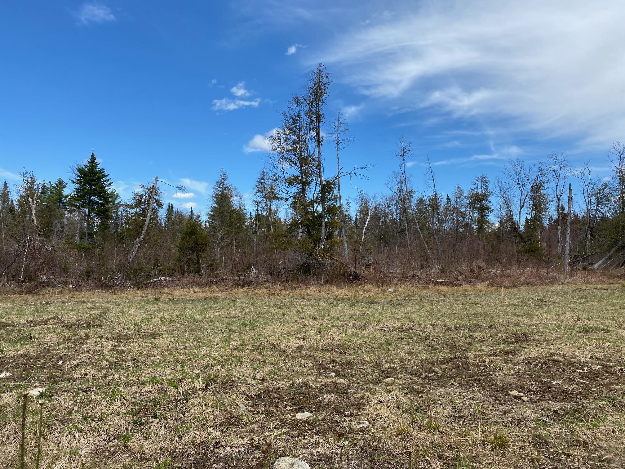 Lot #2 Off Tremblay Road Dexter, ME 04930 - Photo 6 of 15 6