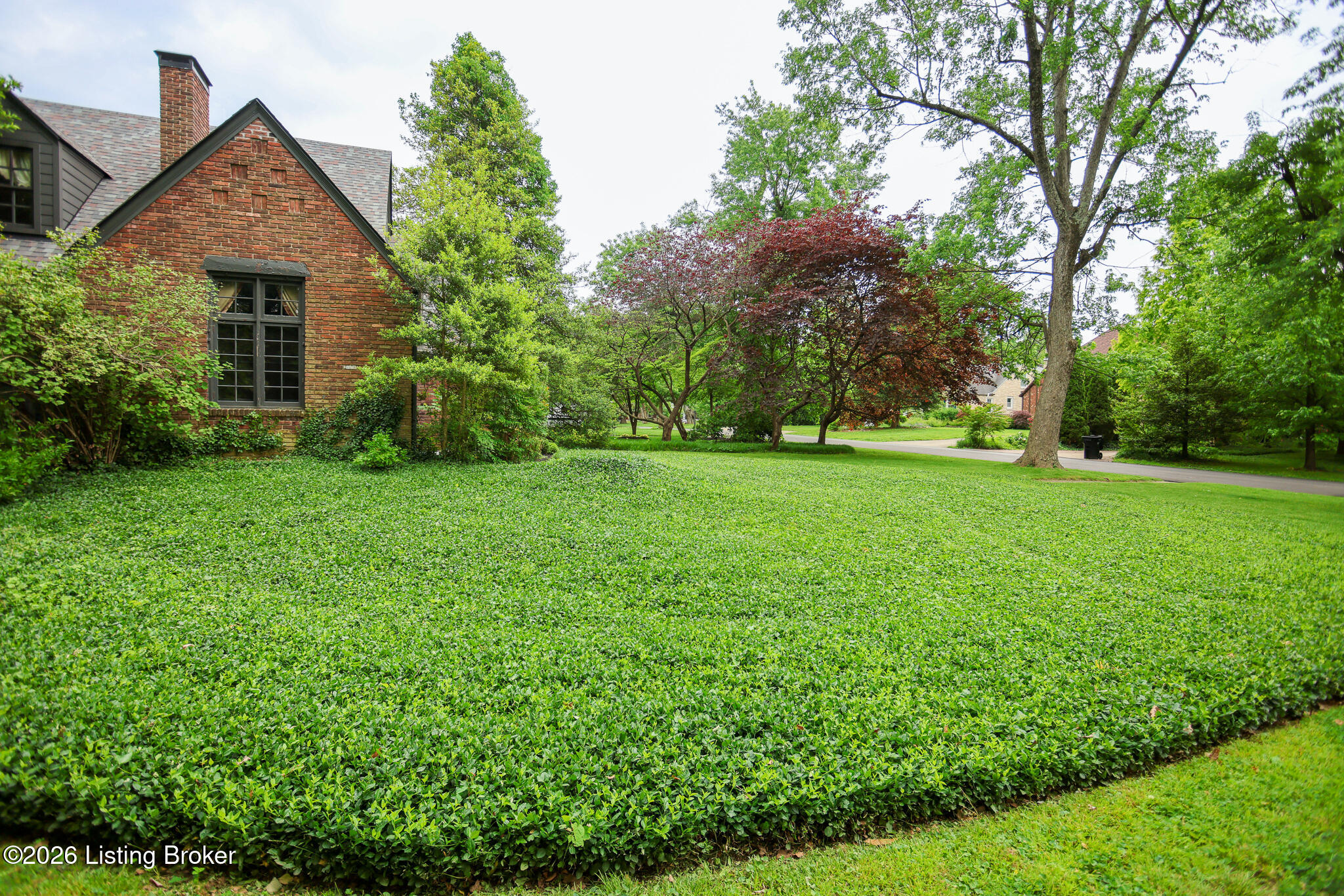 513 Emery Road Louisville, KY 40206 - Photo 50 of 50 Side view of yard