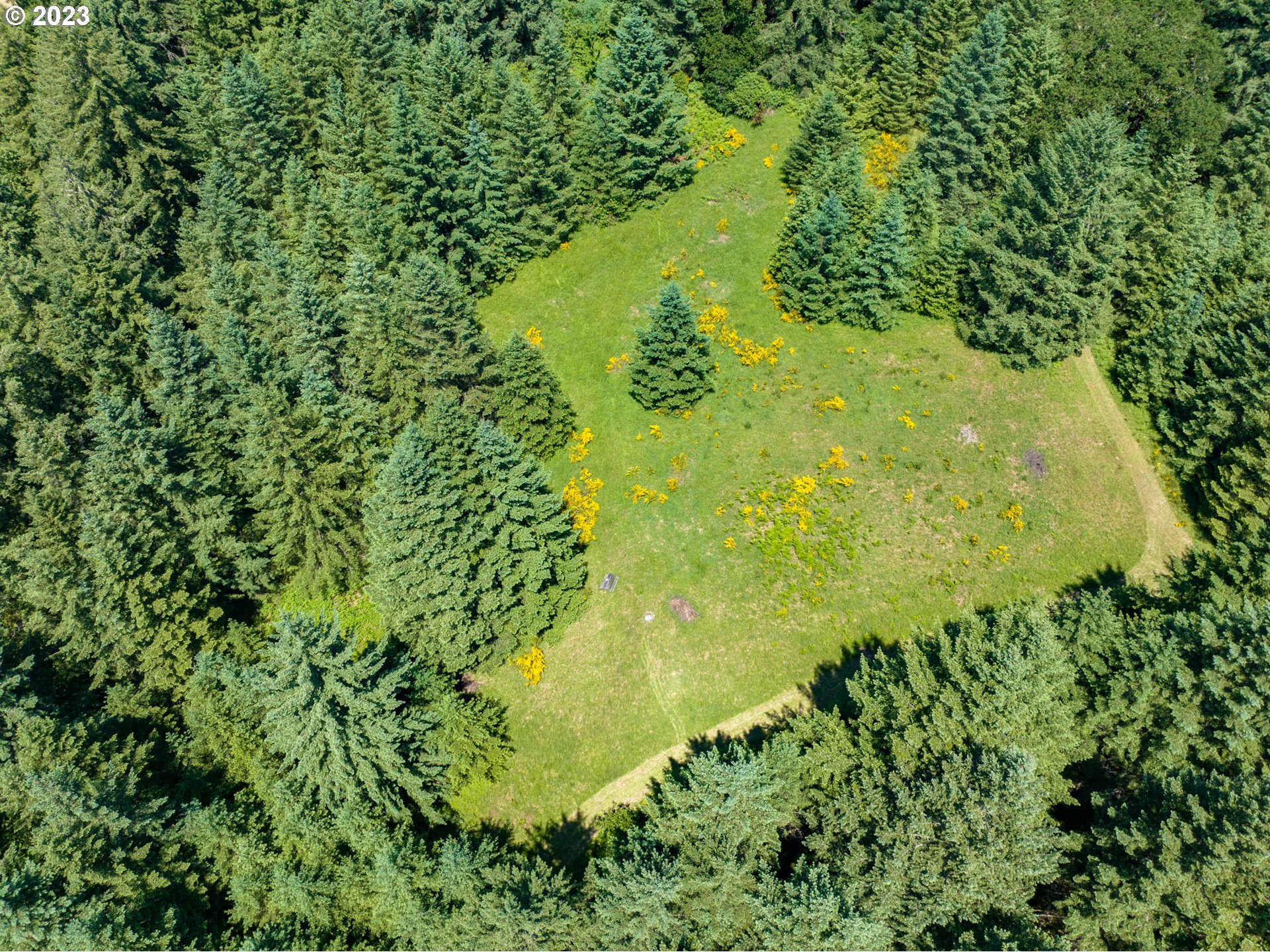 54079 Southwest Scoggins Valley Road Gaston, OR 97119 - Photo 38 of 44 Yard