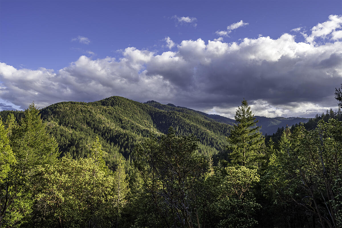 3114 Anderson Creek Road Talent, OR 97540 - Photo 4 of 69 33. View 4