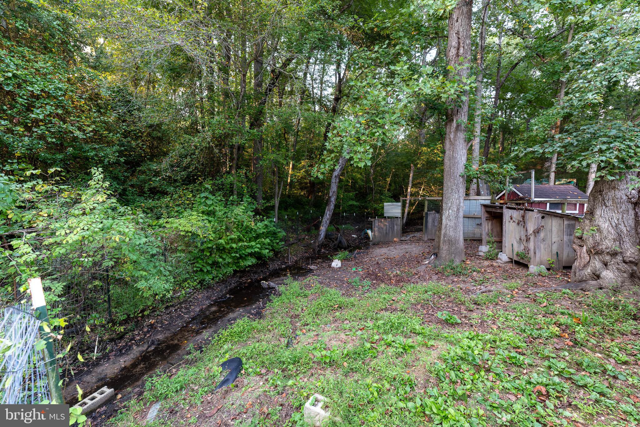 550 Quinton-Marlboro Road Bridgeton, NJ 08302 - Photo 24 of 30 a view of a backyard with large trees and plants