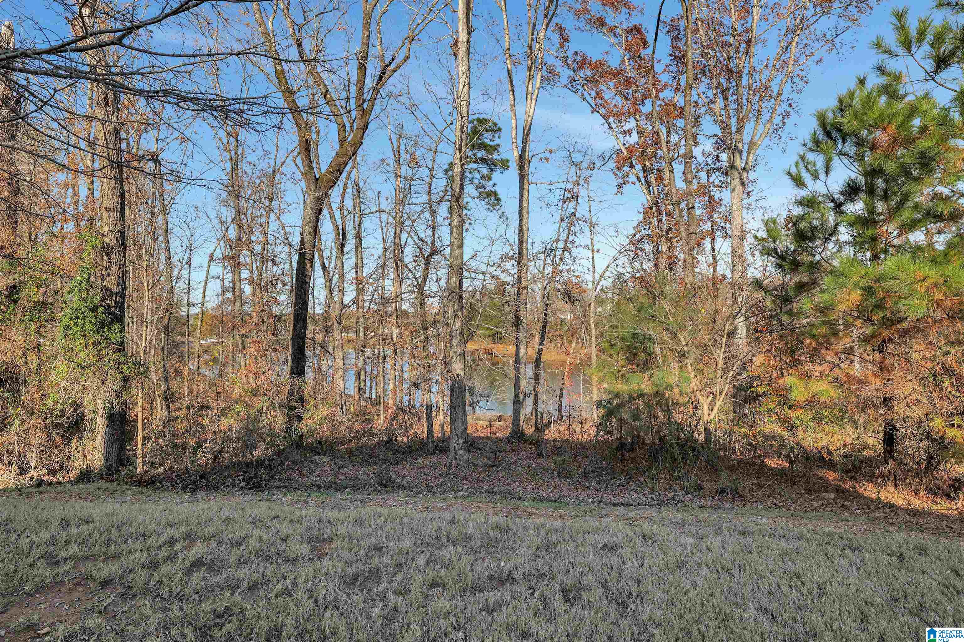 6350 Letson Farms Road Bessemer, AL 35022 - Photo 44 of 46
