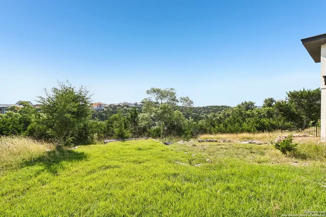 a view of a field with a tree in the background