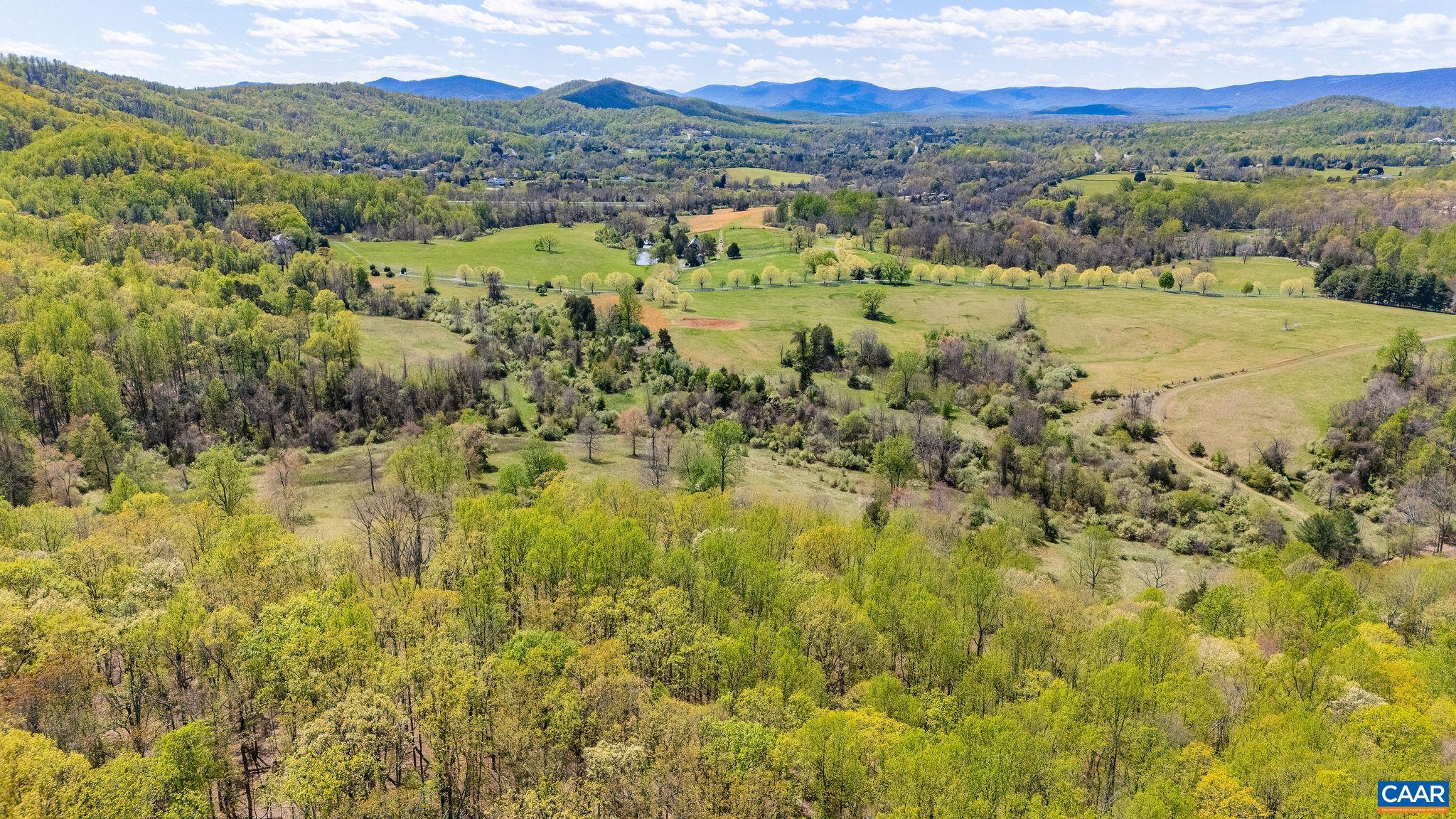 21-acres Tbb Bloomfield Road Charlottesville, VA 22903 - Photo 10 of 12