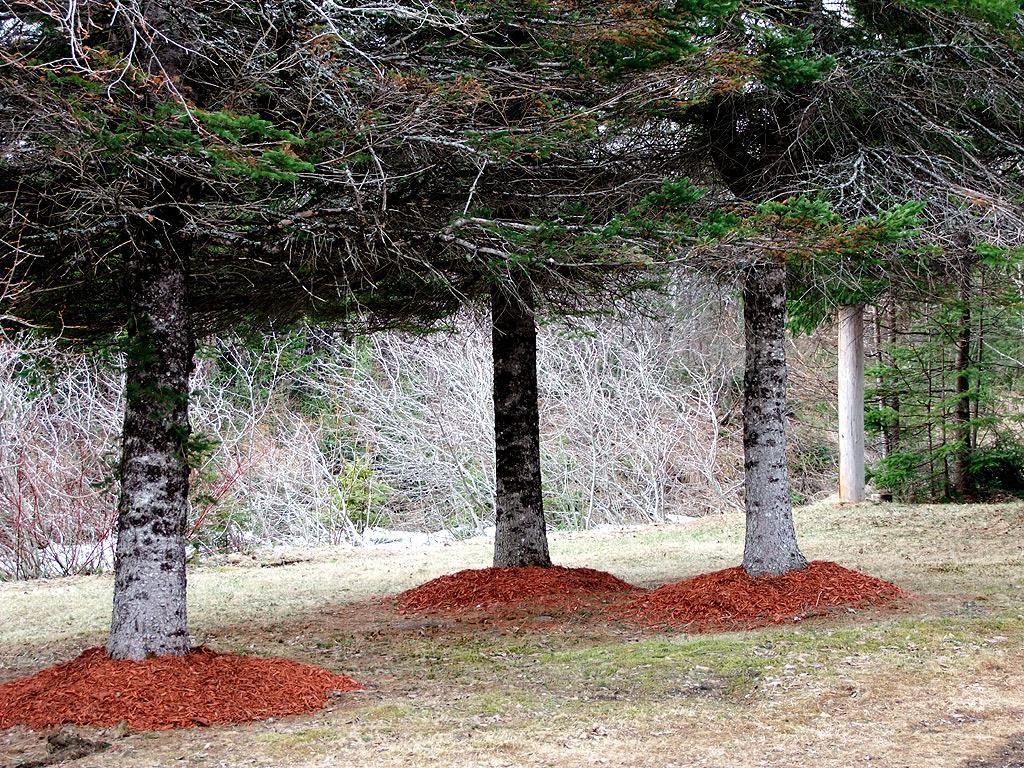 1645 Ludlow Road Ludlow, ME 04730 - Photo 24 of 31 Photo
