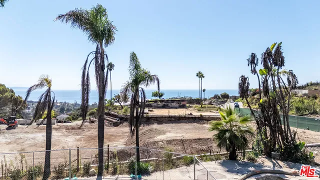 a view of outdoor space with palm trees