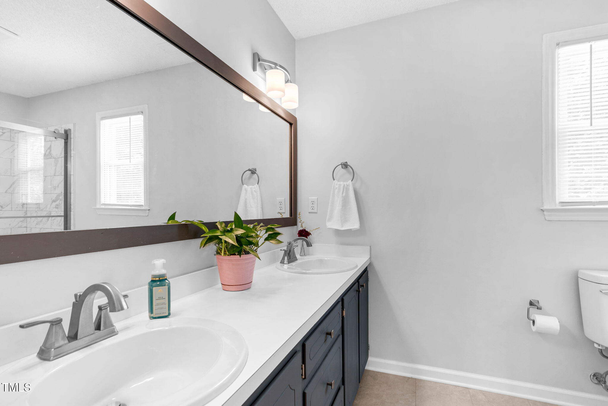 209 Bradley Drive Benson, NC 27504 - Photo 10 of 20 a bathroom with a sink and a mirror