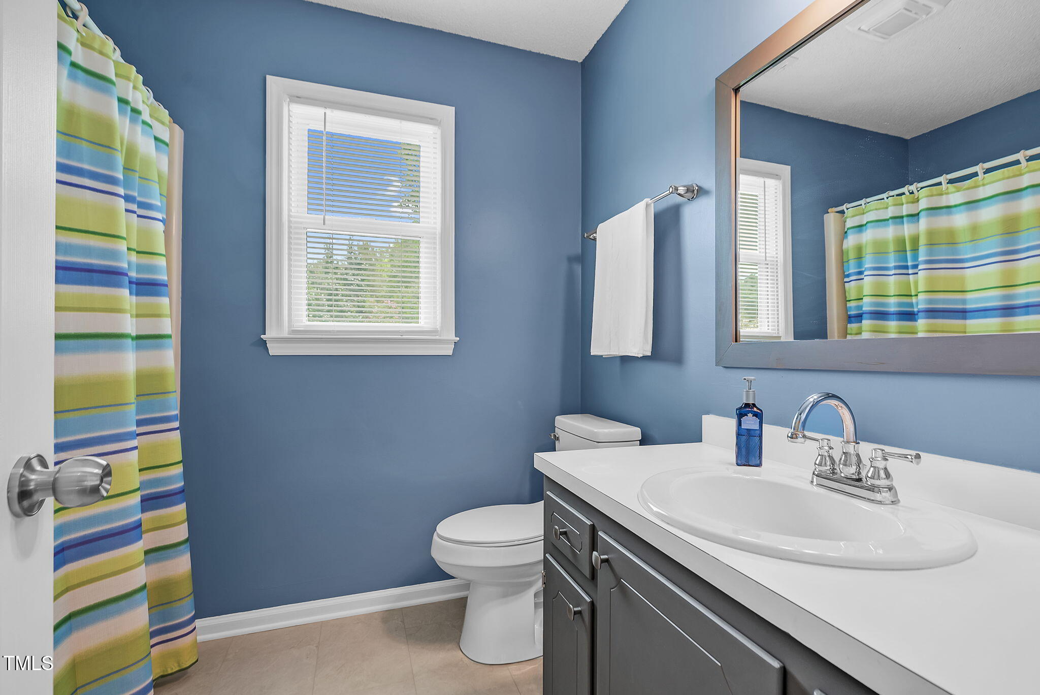 209 Bradley Drive Benson, NC 27504 - Photo 12 of 20 a bathroom with a sink a toilet and a mirror