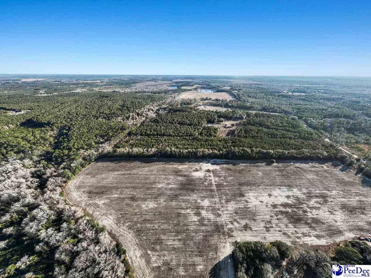 5 Off Flinn Road Manning, SC 29102 - Photo 7 of 13 Gallery Image 7