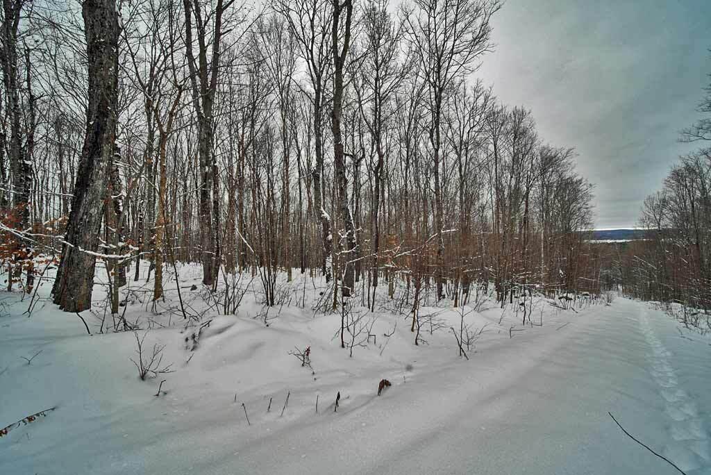 Lot 14 Mountain Road Houlton, ME 04730 - Photo 26 of 75 maine-land-overlooking-lake