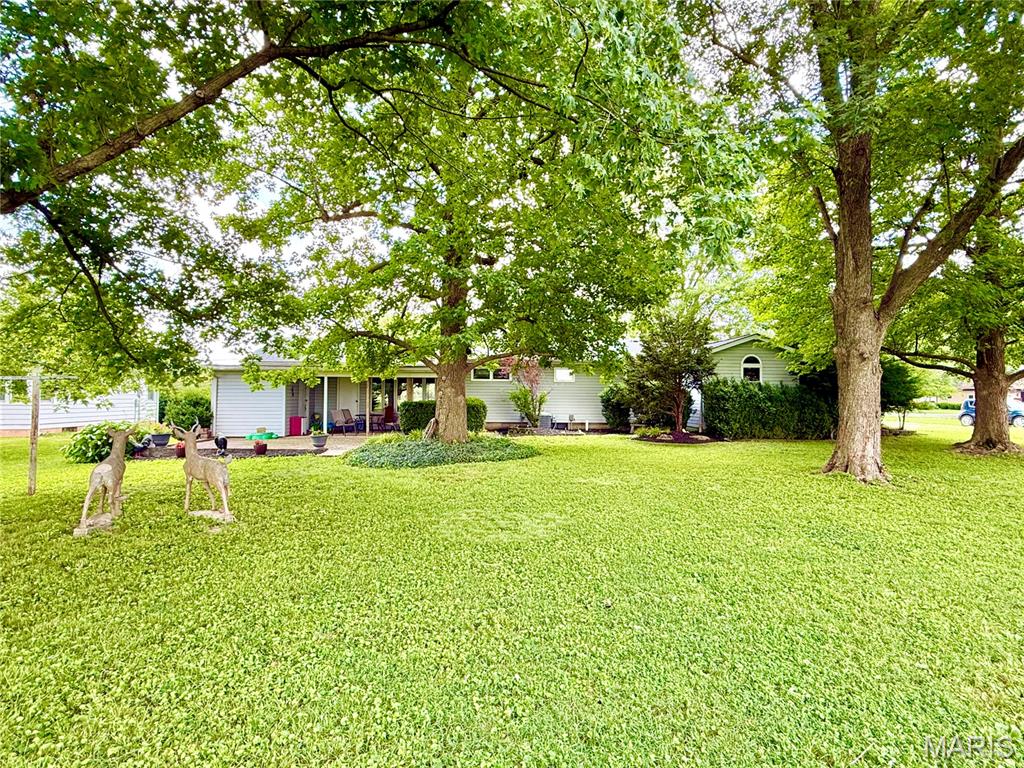 319 Fillmore Street Worden, IL 62097 - Photo 3 of 37