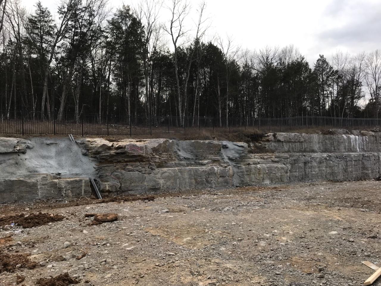 1438 Old Stone Road, Unit 459 Lebanon, TN 37087 - Photo 2 of 20 a view of a park with large trees